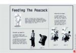 Men's Guide Vol 1 (part2)