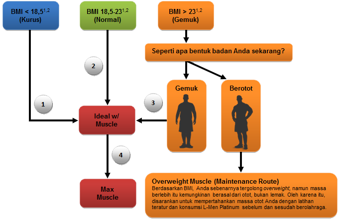 FP - BMI Diagram